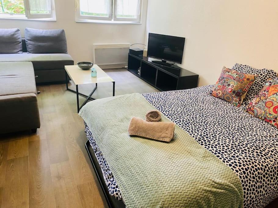 Mon Paisible Rez De Chausse Wifi Parking Un-sejour-a-part Appartement *