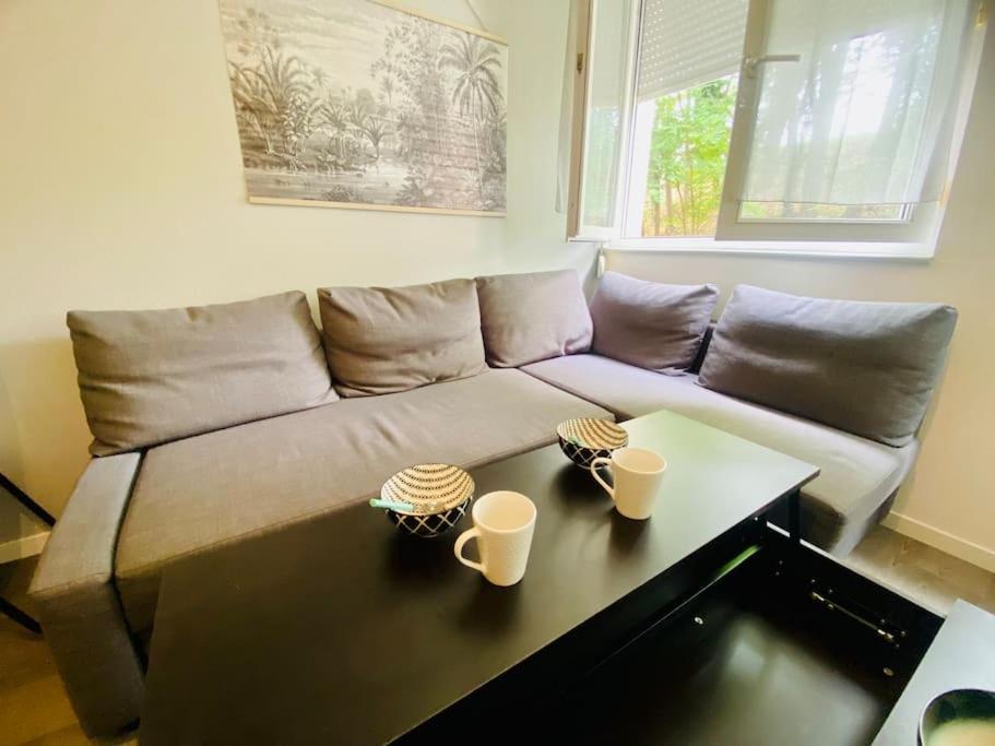 Apartment Mon Paisible Rez De Chausse Wifi Parking Un-sejour-a-part Metz